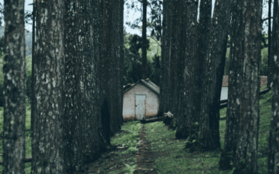 Enerzjy, ynkommen en ynvestearringsmooglikheden