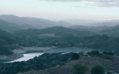 ôfstân ta algemiene deistiche foarsjenningen