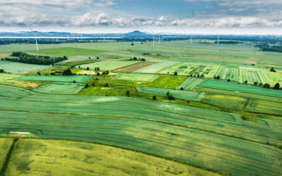 Beschermd: Lokale potinsje yn byld