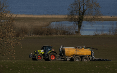 Potinsje fan jarrefergêsters