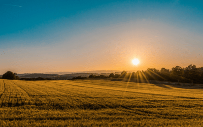 Beschermd: Útwurke senario’s fan jarre